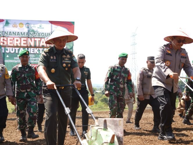 
					Kasdam IM Hadiri Penanaman 1 juta Hektar Jagung 