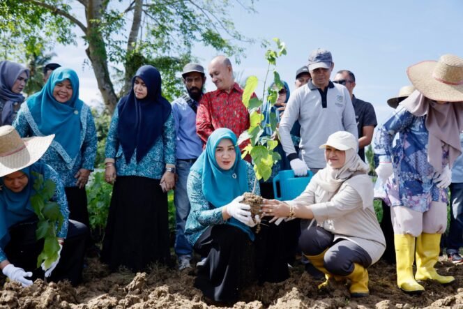 
					Marlina Muzakir, Ketua Dekranasda Aceh, menanam bibit murbei bersama UMKM Jalur SuteraAceh di Gampong Siem, Darussalam, Aceh Besar, Kamis (17/4/2025). Penanaman ini menjadi bagian dari upaya membangkitkan kembali industri sutera Aceh melalui pemberdayaan UMKM lokal.