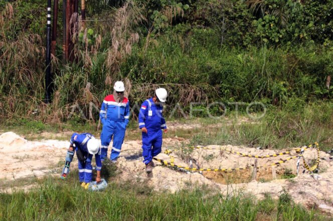 
					Sejumlah karyawan melakukan survei potensi bahaya di sekitar lokasi pompa minyak ladang sumur Blok Rokan areal kerja Rantau Bais di Kecamatan Tanah Putih Rokan Hilir, Riau, Selasa (4/2/2025).