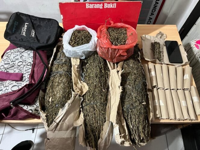 
					Satresnarkoba Polresta Banda Aceh Amankan 3,7 Kg Ganja dan Tersangka