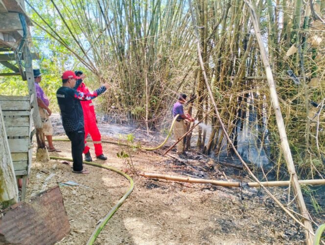 
					
Petugas Damkar BPBD Aceh Besar melakukan pendinginan di sekitar lahan dan rumpun bambu yang terbakar, di Kawasan Gampong Pakuk, Kecamatan Kuta Cot Glie, Kabupaten Aceh Besar, Selasa (26/8/2025). FOTO/ MC ACEH BESAR