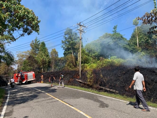 
					Dua Hektar Lahan Terbakar di Aceh Singkil