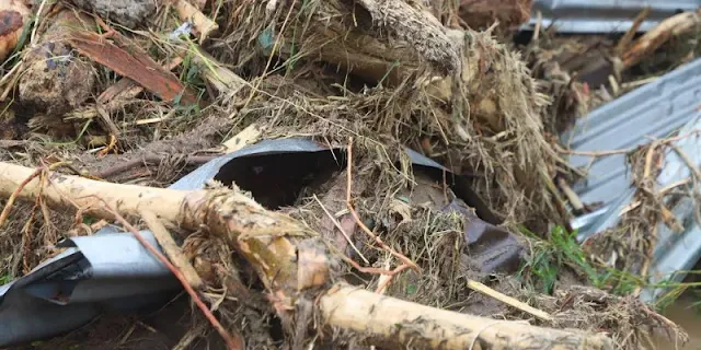 
					Material kayu yang terbawa arus saat banjir bandang di Kota Padang (Foto: BNPB)