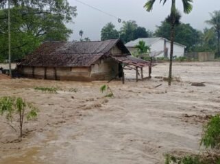 Hujan dengan intensitas sedang hingga tinggi yang mengguyur wilayah Kabupaten Pidie Jaya dan Bireuen mengakibatkan banjir di puluhan kecamatan