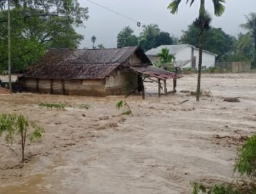 Hujan dengan intensitas sedang hingga tinggi yang mengguyur wilayah Kabupaten Pidie Jaya dan Bireuen mengakibatkan banjir di puluhan kecamatan