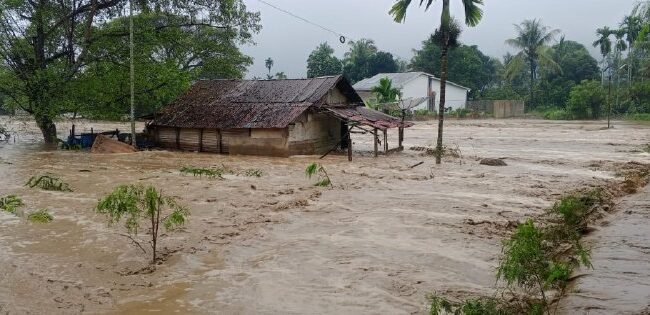 Hujan dengan intensitas sedang hingga tinggi yang mengguyur wilayah Kabupaten Pidie Jaya dan Bireuen mengakibatkan banjir di puluhan kecamatan
