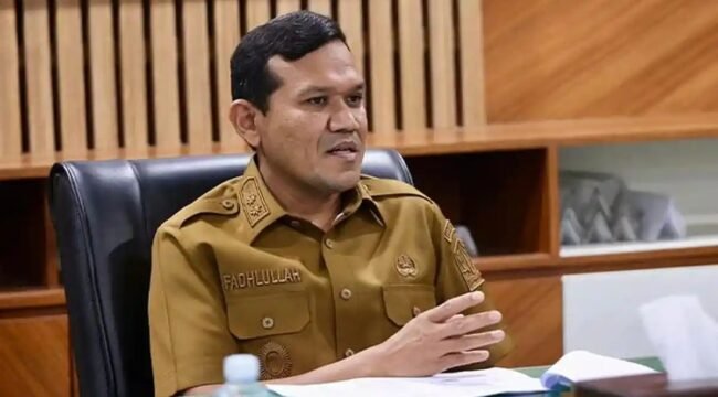 Wakil Gubernur Aceh Fadhlullah