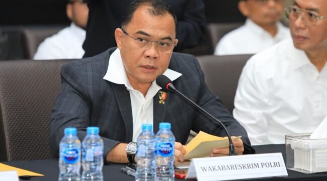 Wakabareskrim Polri Irjen Pol Nunung Syaifudin
