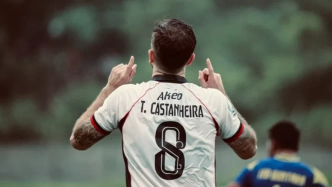 
					Telmo Castanheira