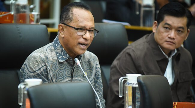 Anggota Komisi IV DPR, Usman Husin