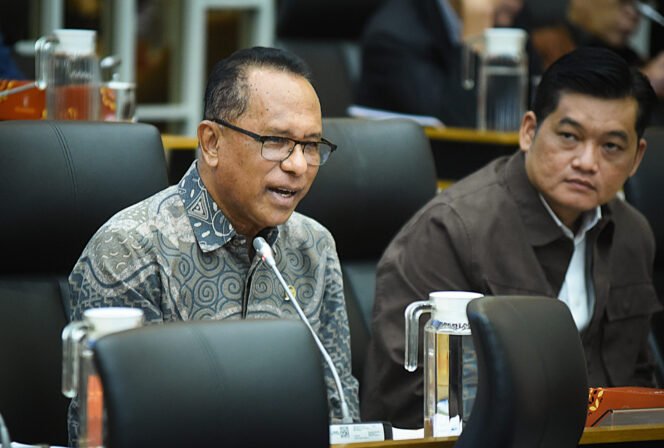 
					Anggota Komisi IV DPR, Usman Husin