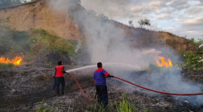  Kebakaran Lahan