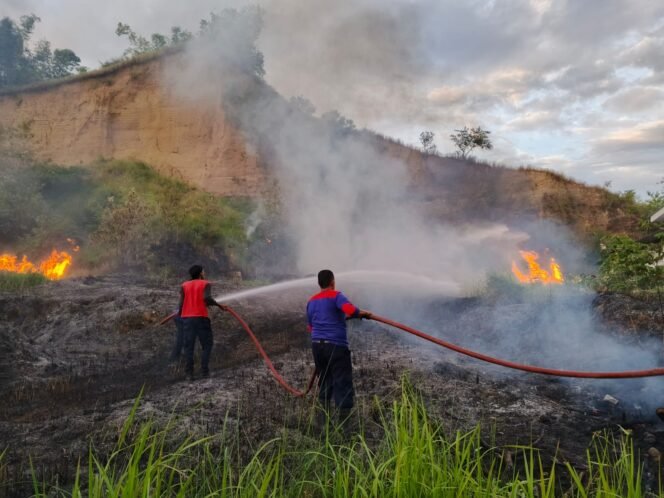 
					 Kebakaran Lahan