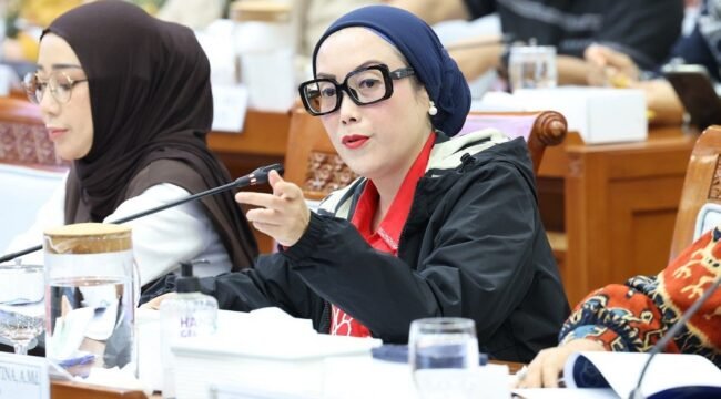 Anggota Komisi VIII DPR RI Selly Andriany Gantina. Foto: Arief/Karisma