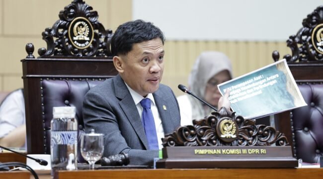 Ketua Komisi III DPR RI Habiburokhman. Foto: Farhan/sai